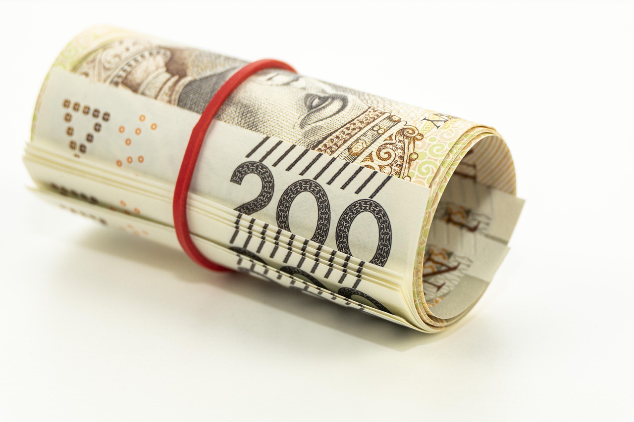 money, banknotes, buck, roll, pack, bank, finances, wealth, currency, bills, corruption, piggy bank, prices, investments, success, bank note, finance, financial, payments, trade, insurance, accounting, gain, corruption, corruption, corruption, corruption, corruption, insurance